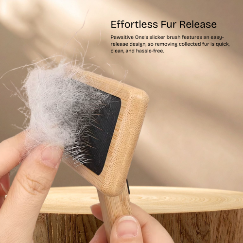 Sustainable bamboo dog brush for medium and large dogs – gentle grooming