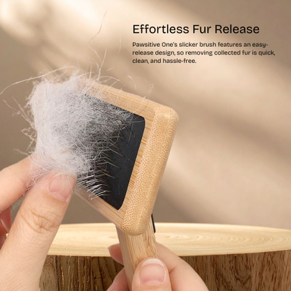 Sustainable bamboo dog brush for medium and large dogs – gentle grooming